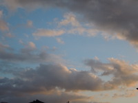DSCN0085