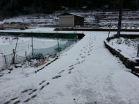 20170210_094753