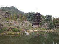 DSCN5881
