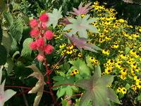 20160819_150207