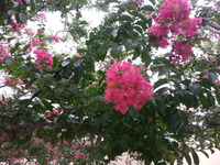 20140821_142041