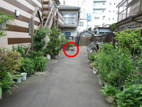 BlogPaint