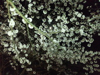 20170409_200747