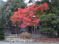 DSCN1200
