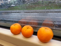 20160229_170957