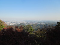 DSCN0724