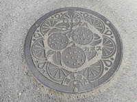 DSCN0856