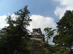 RIMG0068