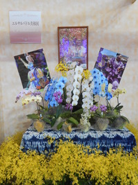 DSCN0475