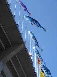 DSCN2460