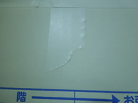 DSCN0879