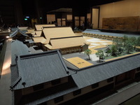 DSCN8515