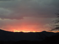 DSCN2374