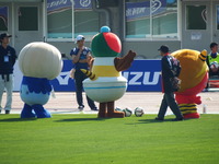 DSCF9533