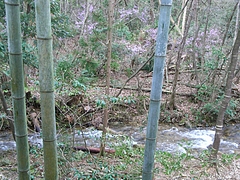 RIMG0059