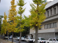 DSCN1303