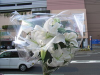 RIMG0057