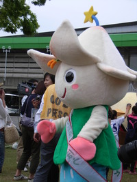 RIMG0123