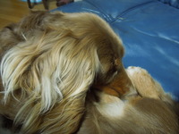 DSCN8684