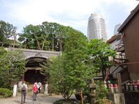 DSCN0563