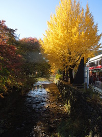 DSCN0521