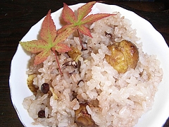 RIMG0354