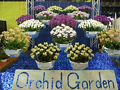 RIMG0027