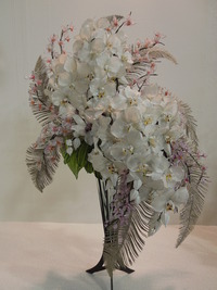 DSCN4878