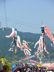 IMGP2383