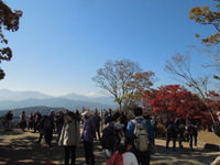 DSCN0659