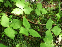 DSCF7328