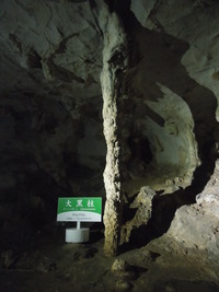 DSCN5728