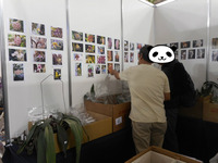BlogPaint