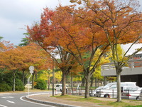 DSCN1300