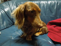 DSCN1159