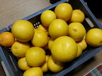 20160121_180144