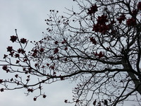 20151123_110000
