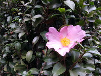 20151030_111752
