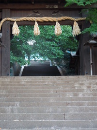 DSCN8480