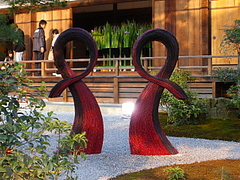 IMGP1343