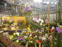 DSCN0420