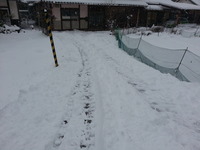 20160124_142922