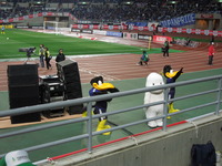 DSCN4611