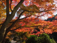 DSCN0756
