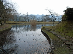 RIMG0389