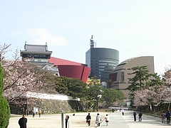 RIMG0178