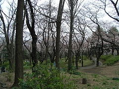 RIMG0272