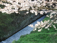 DSCF1468