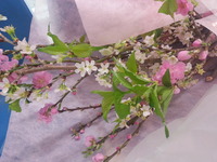 20150224_150253