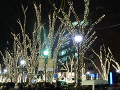 RIMG0246